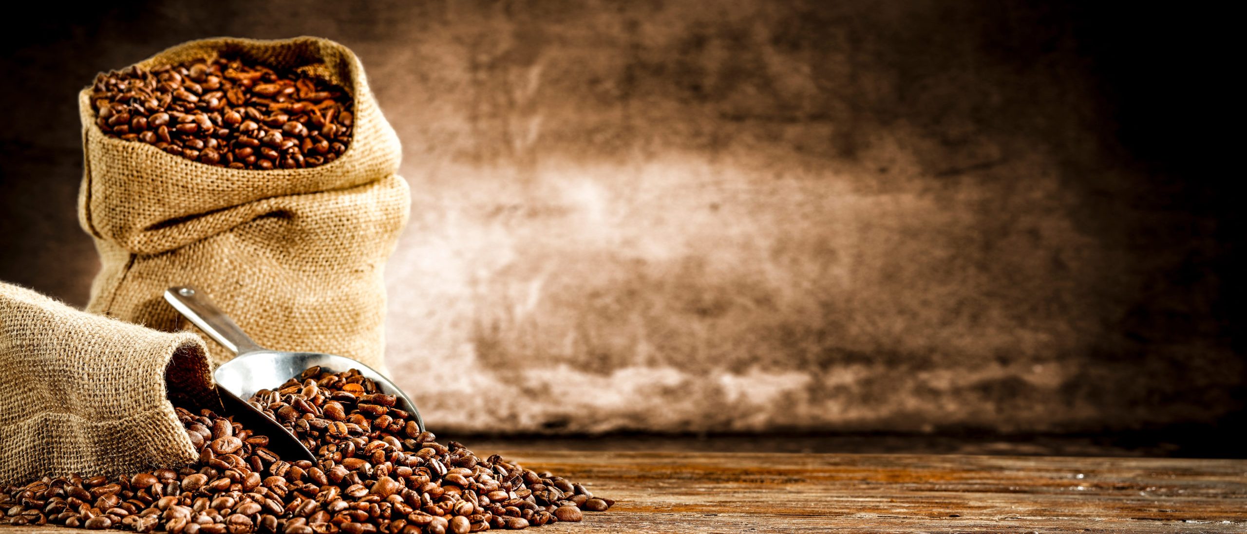 Fresh old sack of coffee grains and brown old wall background